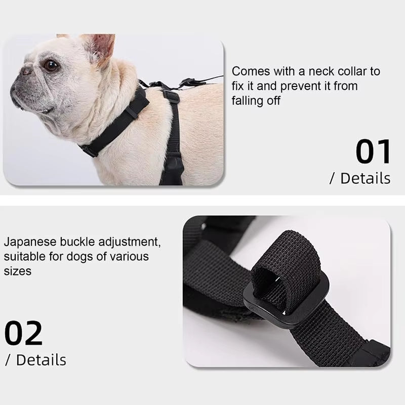 PawGrip™ | Waterproof dog boots with rubber soles