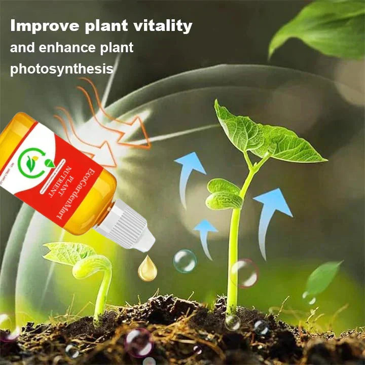 2+1 FREE | RootRise™ | Faster plant regeneration