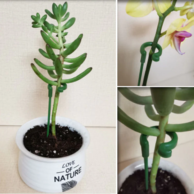 EasyPlant™ | Graceful Stem Support