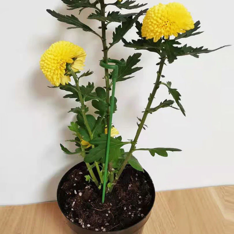 EasyPlant™ | Graceful Stem Support