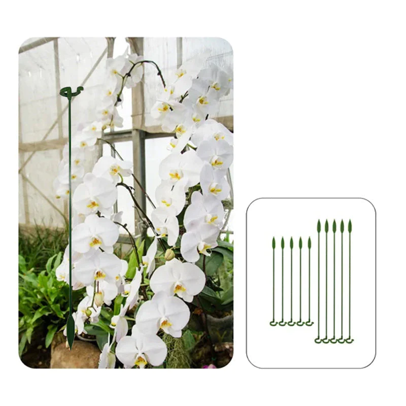 EasyPlant™ | Graceful Stem Support