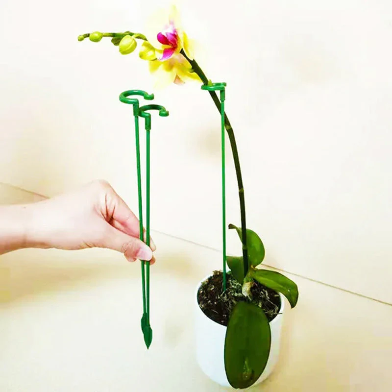 EasyPlant™ | Graceful Stem Support