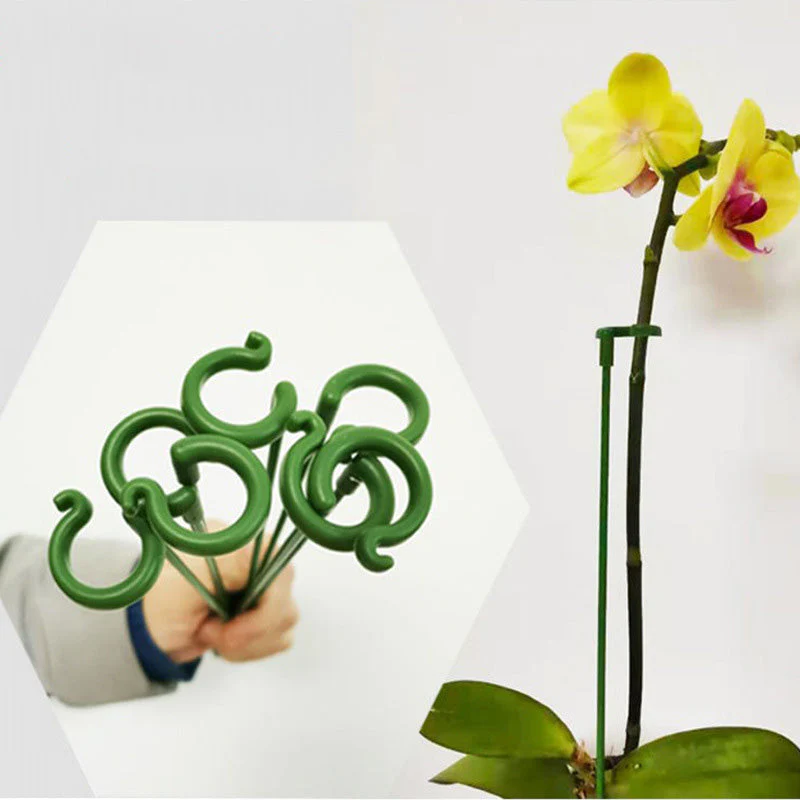 EasyPlant™ | Graceful Stem Support