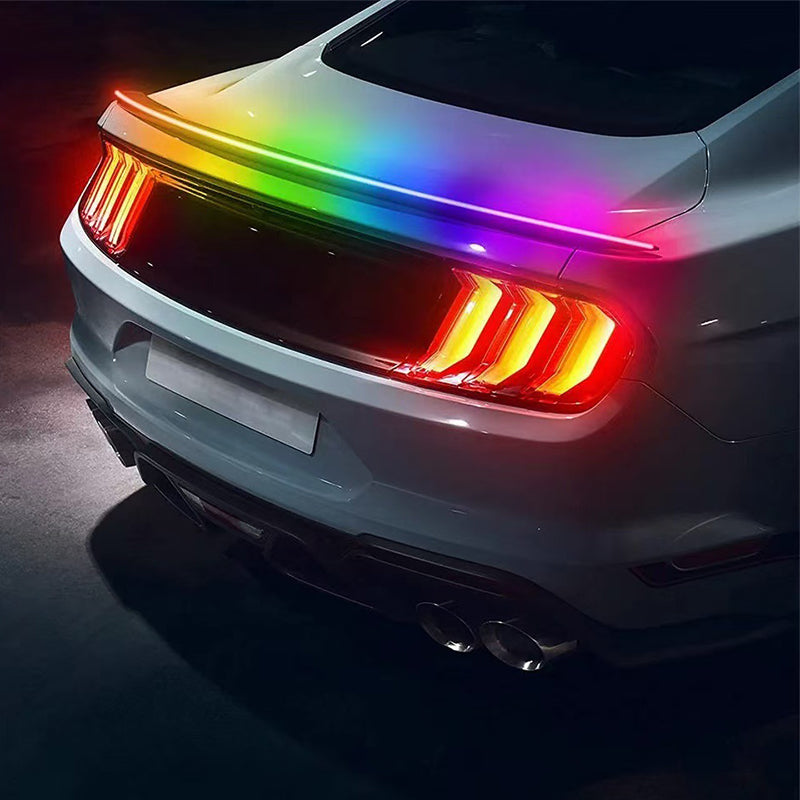 TailLight™ | Lead the way with bright, confident safety light
