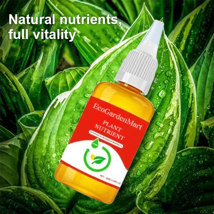 2+1 FREE | RootRise™ | Faster plant regeneration