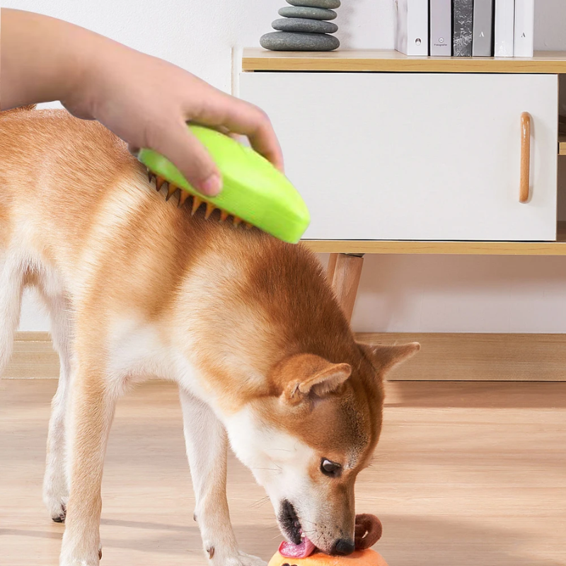 SteamBrush™ | Handy steam brush for pets!