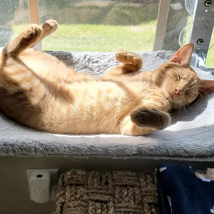 HappyMeoww™ | Supreme Cat Hammock [last day discount]