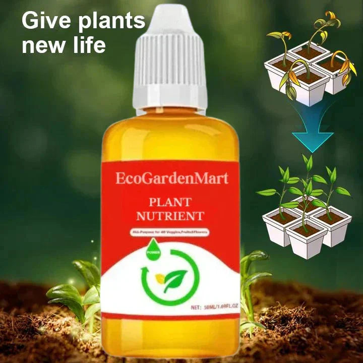 2+1 FREE | RootRise™ | Faster plant regeneration