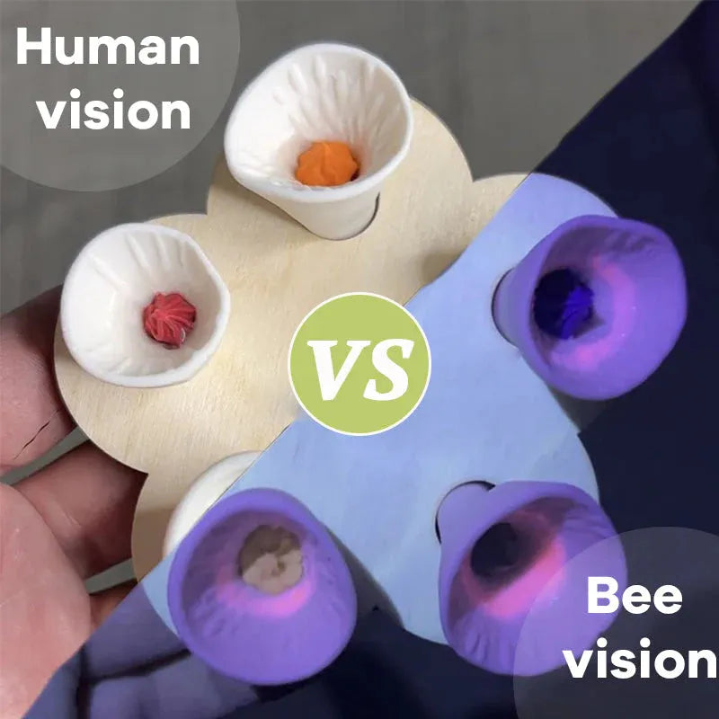BuzzWell™ | Turn your garden into a blooming bee paradise full of life ...