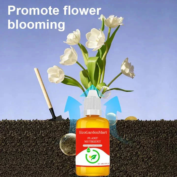 2+1 FREE | RootRise™ | Faster plant regeneration