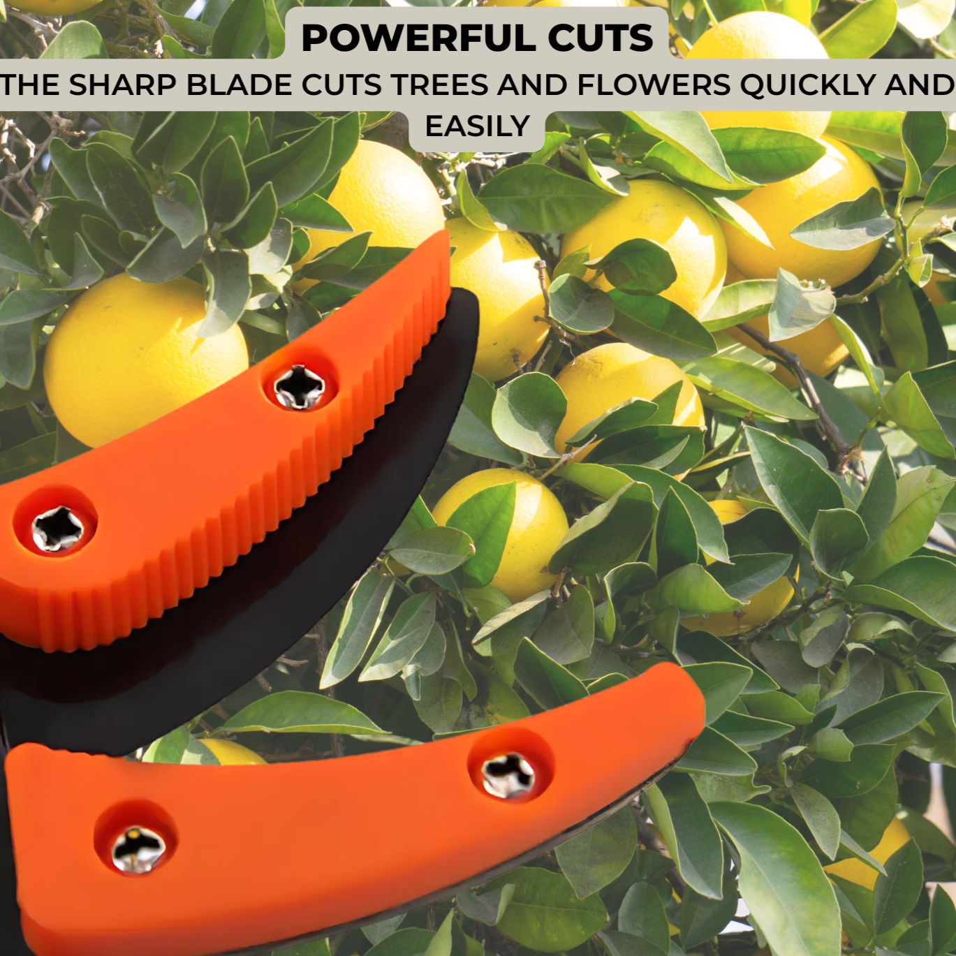 TrimReach™  | Effortless trimming of high hedges