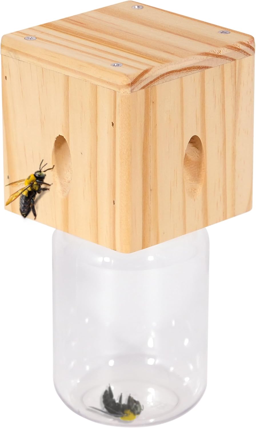 WoodGuard | Natural protection for your wood!