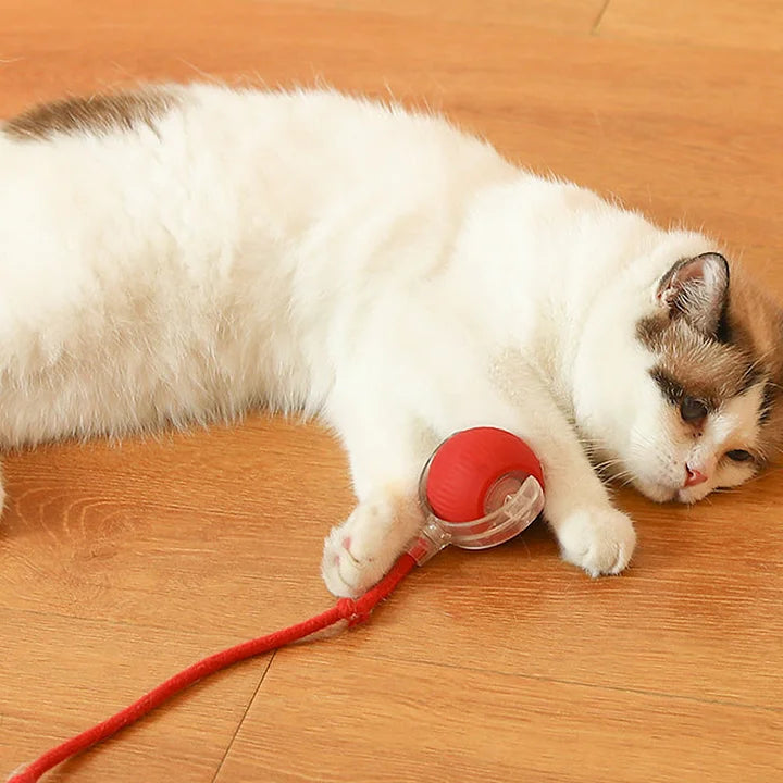 PawPlay™ | Interactive cat toy ball