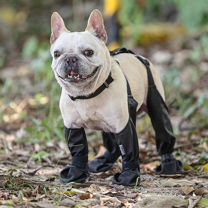 PawGrip™ | Waterproof dog boots with rubber soles