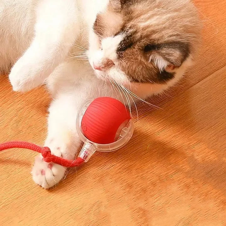 PawPlay™ | Interactive cat toy ball