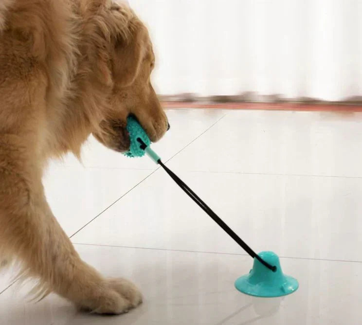 ChewMaster™ | Interactive dog toy with suction cup