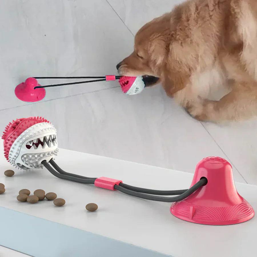 ChewMaster™ | Interactive dog toy with suction cup