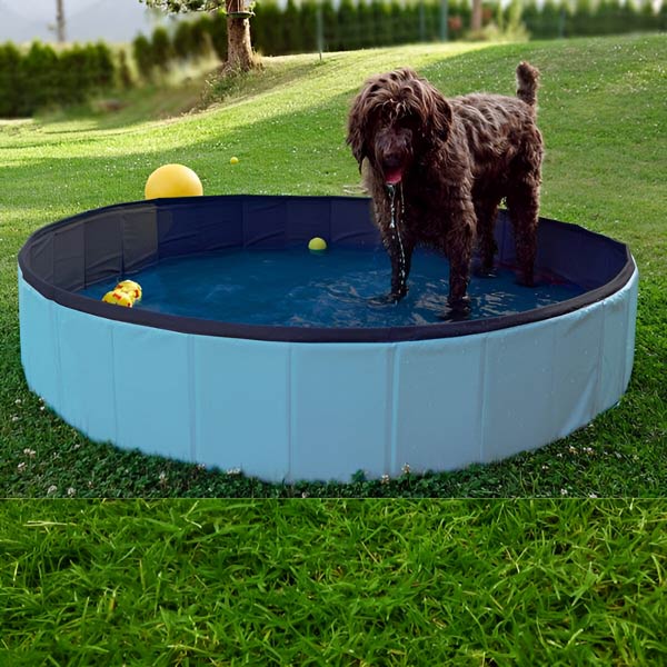 FoldiPool | The folding pool oasis for pets & kids!