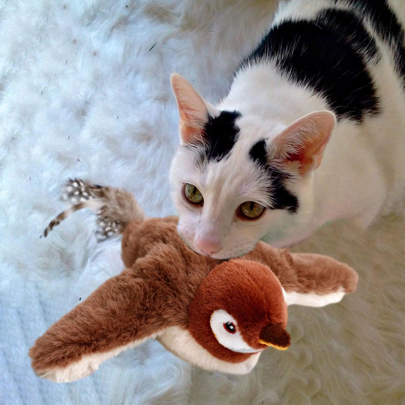 PurrFlight™ | Cat toy bird — Encourages even overweight and lazy cats to exercise