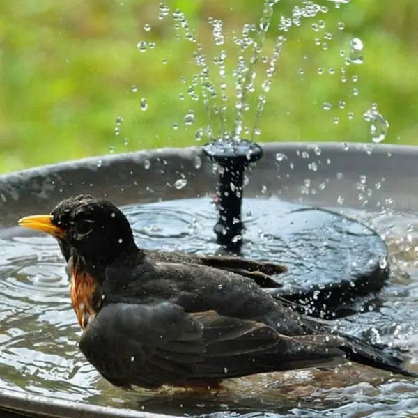 SpringSolar | Solar-powered fountain