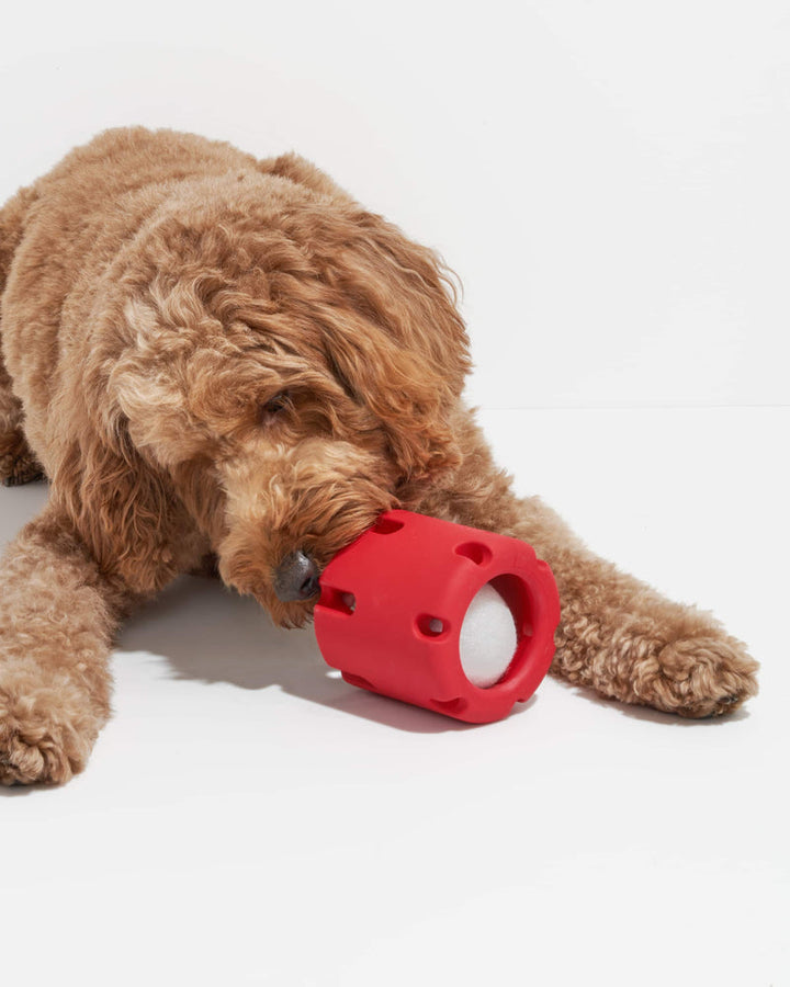 FetchFun™ | Tennis ball dog toy