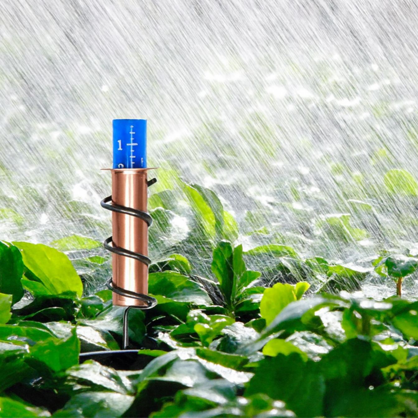AquaCopper™ | Measuring Rain with Antique Charm!