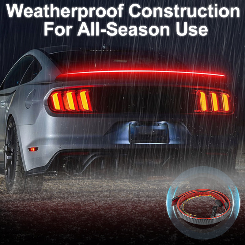 TailLight™ | Lead the way with bright, confident safety light