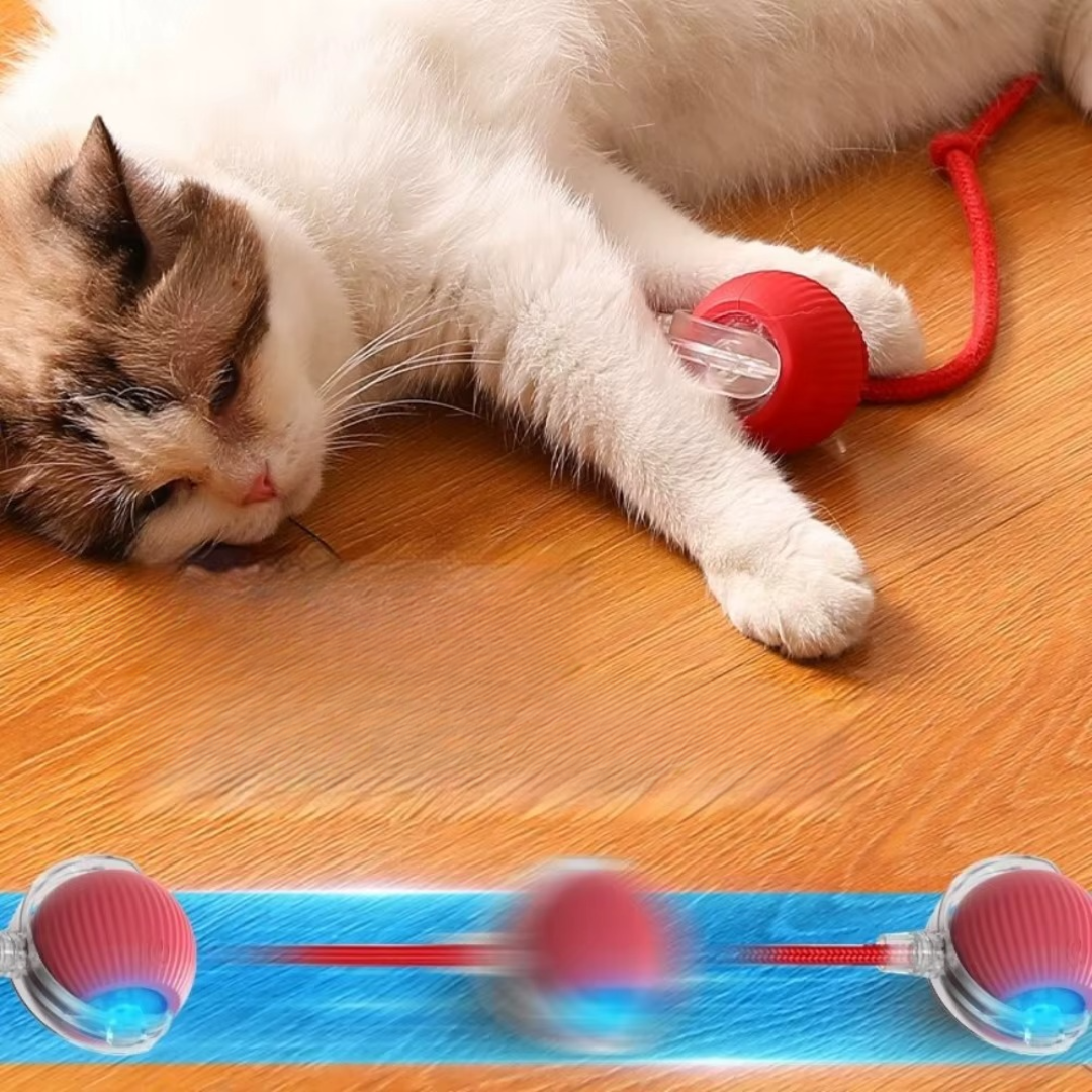 PawPlay™ | Interactive cat toy ball