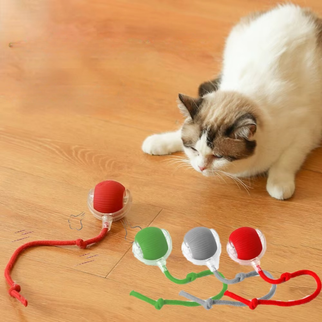 PawPlay™ | Interactive cat toy ball