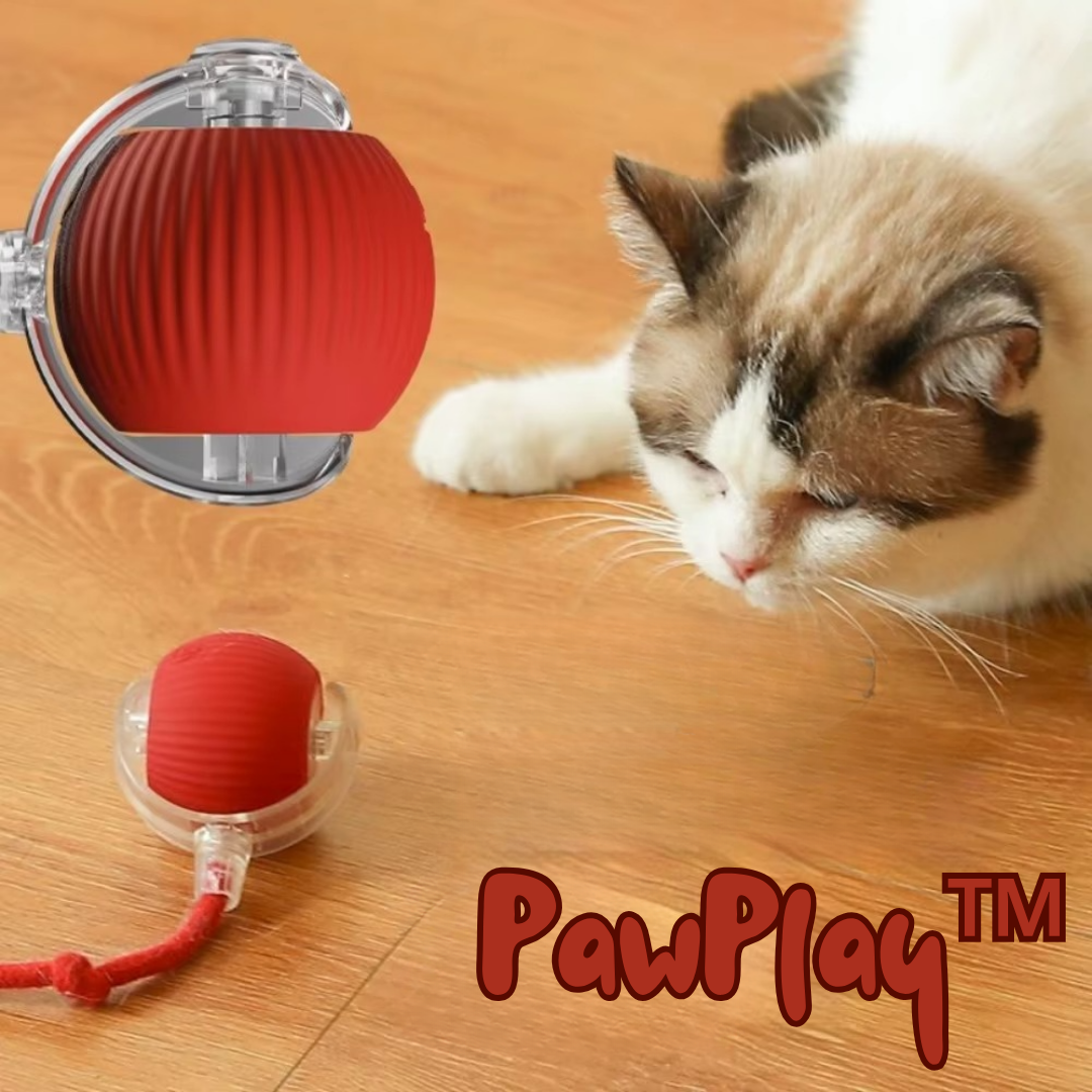 PawPlay™ | Interactive cat toy ball