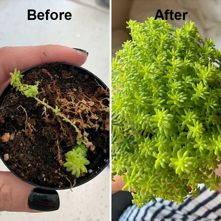 2+1 FREE | RootRise™ | Faster plant regeneration