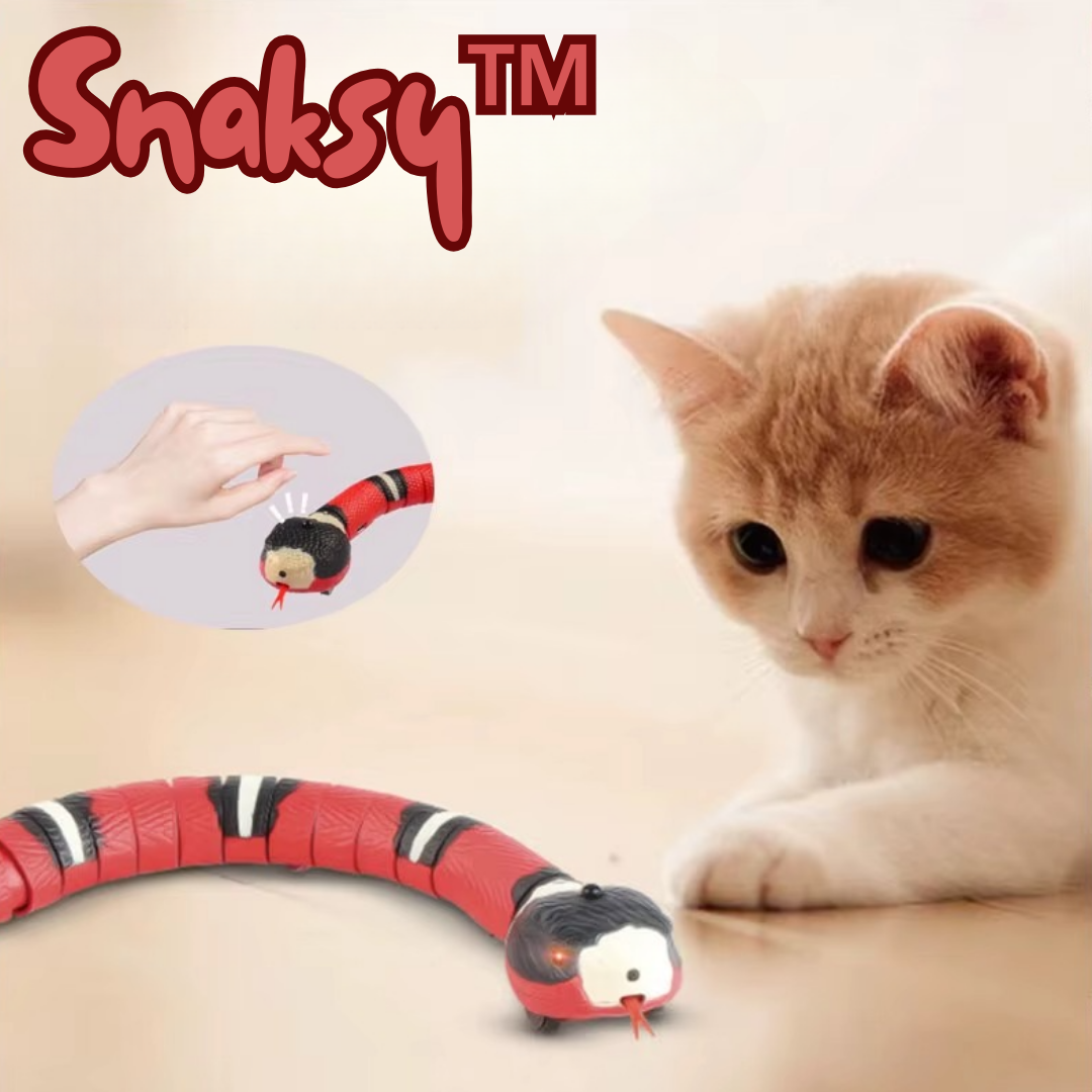 Snaksy™ | Snake Interactive Pet Toy
